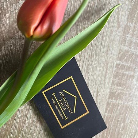 Apartma Ksela Mala Nedelja Ngoại thất bức ảnh
