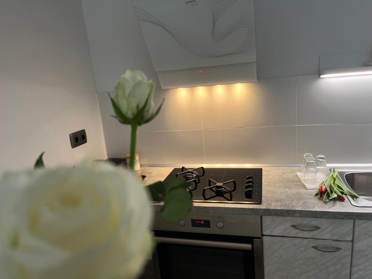 Apartma Ksela Mala Nedelja Ngoại thất bức ảnh