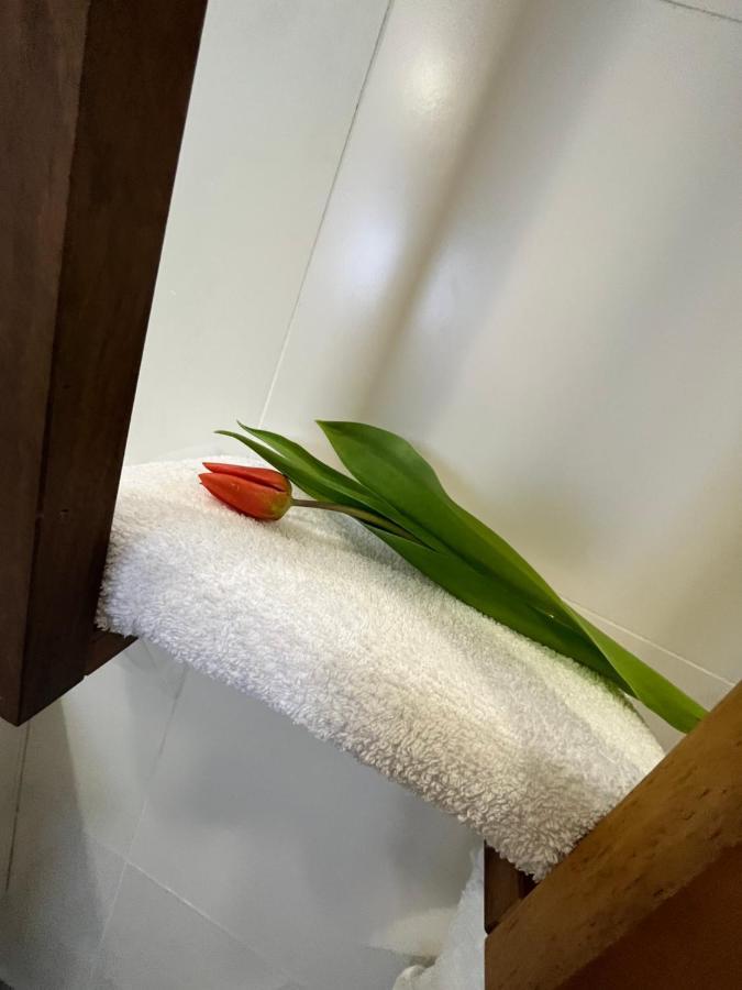 Apartma Ksela Mala Nedelja Ngoại thất bức ảnh